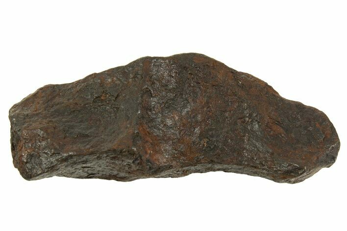 Canyon Diablo Iron Meteorite ( g) - Arizona #335974